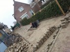 Bosboom