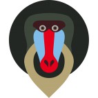 WildMonkeys