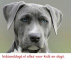 Kidsanddogs.nl