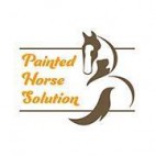Painted Horse Solution