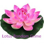 Lotus Rondom Grime