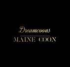 Dreamcoons