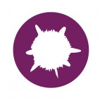 Sirius Smartshop Venlo