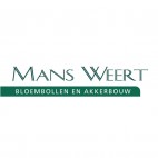 Mans Weert